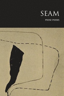 Prose Poetry Project, Shane Strange - Seam, Häftad