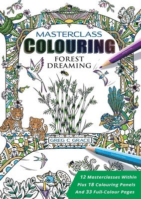 bokomslag Masterclass Colouring