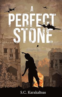 bokomslag Perfect Stone