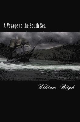 bokomslag A Voyage to the South Sea