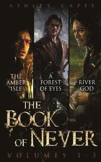 bokomslag Book of Never