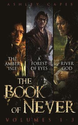 Ashley Capes - Book of Never, Häftad