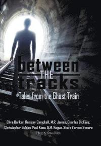 bokomslag Between the Tracks