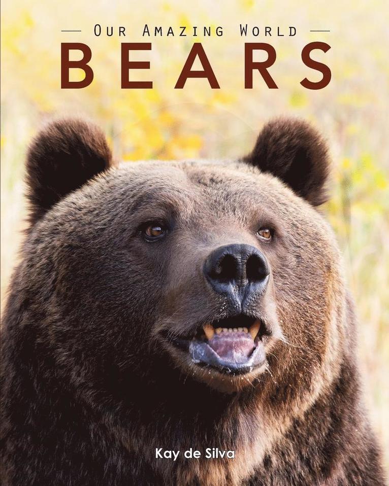 Bears 1
