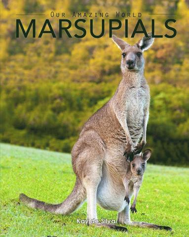 bokomslag Marsupials