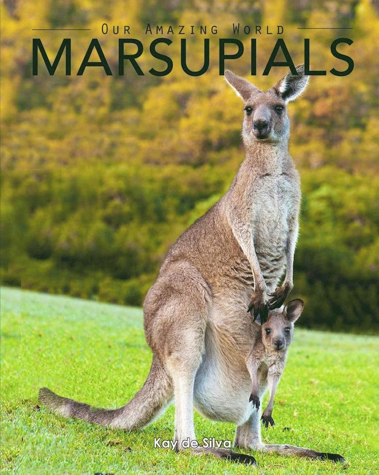 Marsupials 1