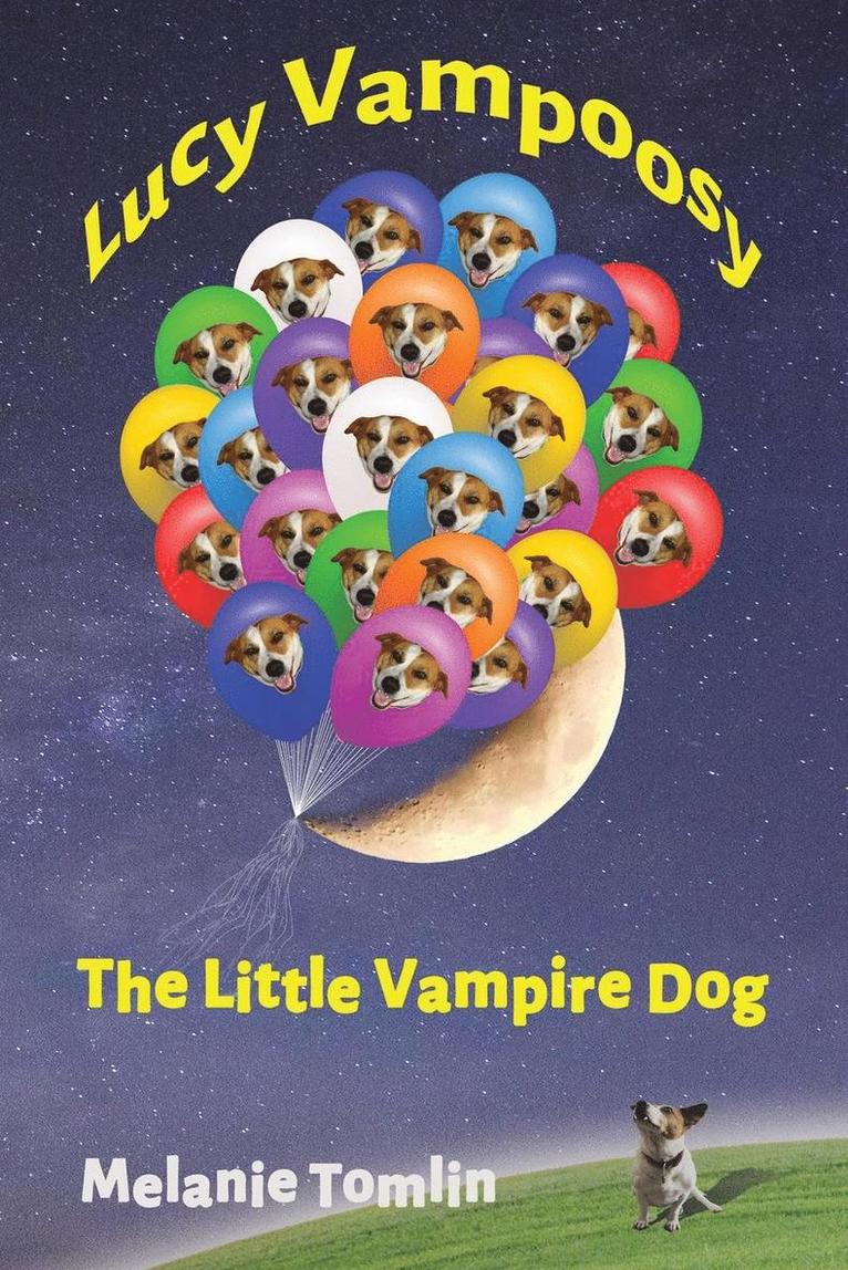 Melanie Tomllin - Lucy Vampoosy, Häftad