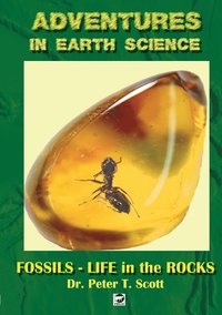 bokomslag Fossils- Life in the Rocks