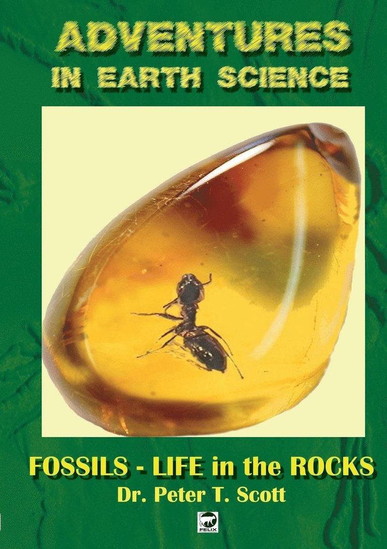 Fossils- Life in the Rocks 1