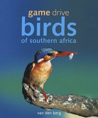 bokomslag Game Drive Birds Of Southern Africa