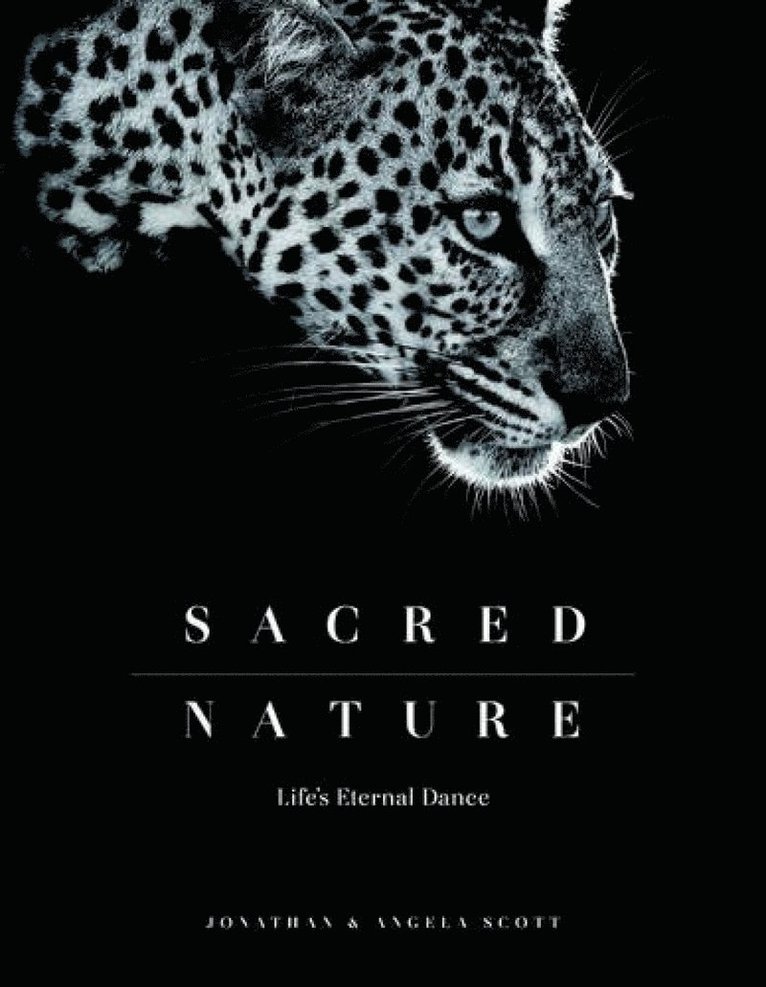 Jonathan Scott, Angela Scott - Sacred Nature, Inbunden