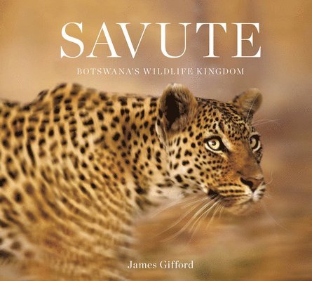 Savute