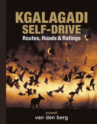 Kgalagadi Self-drive 1