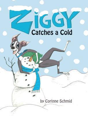 bokomslag Ziggy Catches a Cold