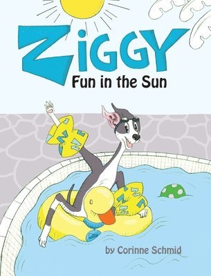 bokomslag Ziggy Fun in the Sun