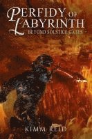Kimm Reid - Perfidy of Labyrinth, Häftad