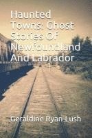 bokomslag Haunted Towns: Ghost Stories Of Newfoundland And Labrador