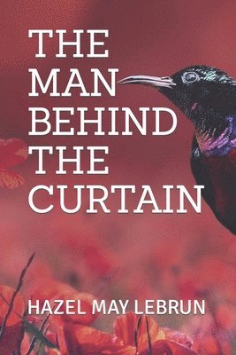 The Man Behind the Curtain 1