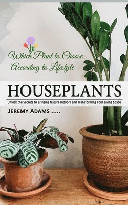 Houseplants 1