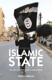 bokomslag Islamic State: Its History, Ideology and Challenge