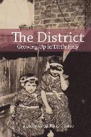 bokomslag The District: Growing Up in Little Italy