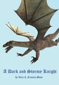 bokomslag Dark and Stormy Knight