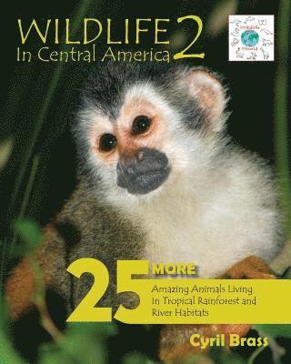 Wildlife in Central America 2 1