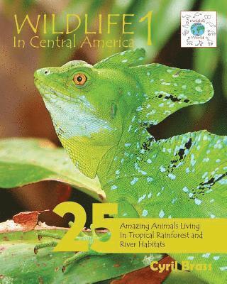 Wildlife In Central America 1 1