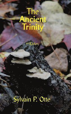 Sylvain De Ville-Amois, Sylvain de Ville-Amois, Sylvain P Otte, Sylvain P. Otte - Ancient Trinity, Inbunden