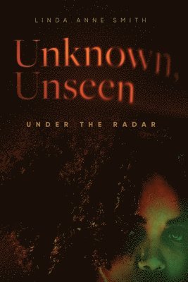 bokomslag Unknown, Unseen -- Under the Radar