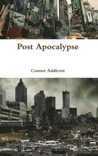 bokomslag Post Apocalypse
