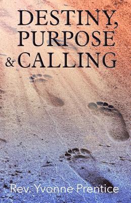 bokomslag Destiny, Purpose & Calling