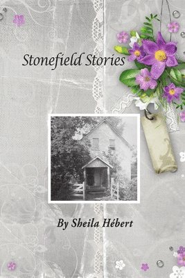 bokomslag Stonefield Stories