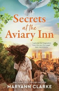bokomslag Secrets at the Aviary Inn