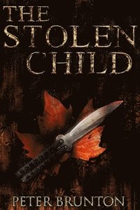 bokomslag The Stolen Child