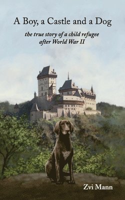 A Boy, A Castle and A Dog 1