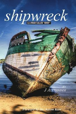 bokomslag Shipwreck: & A Road Called "Grief"