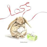 bokomslag Loss: A book of comfort during sad times