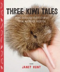 bokomslag Three Kiwi Tales