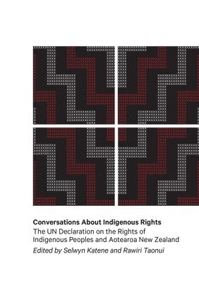 Selwyn Katene, Rawiri Taonui - Conversations About Indigenous Rights, Häftad