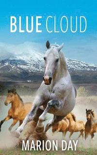bokomslag Blue Cloud