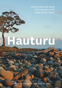 bokomslag Hauturu
