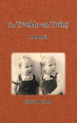 bokomslag Trouble with Twins