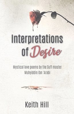 bokomslag Interpretations of Desire