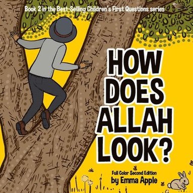 bokomslag How Does Allah Look?