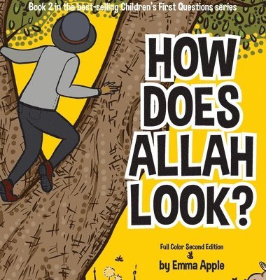 bokomslag How Does Allah Look?