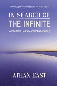 bokomslag In Search of The Infinite