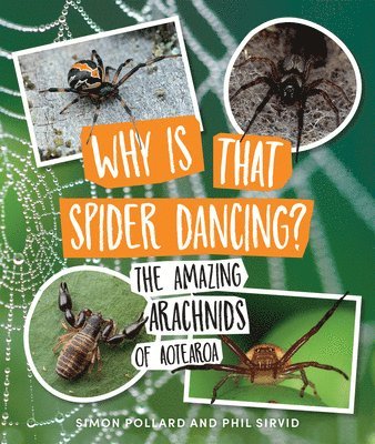 Why Is That Spider Dancing? 1