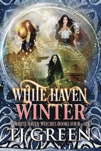 bokomslag White Haven Winter