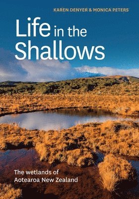 Life in the Shallows 1